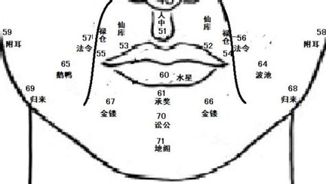 鼻 面相|麦玲玲面相讲座之 鼻子 – 人相学